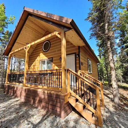 Denali Wild Stay - Redfox Cabin, Free Wifi, Private, Sleep 6 ฮีลี ภายนอก รูปภาพ