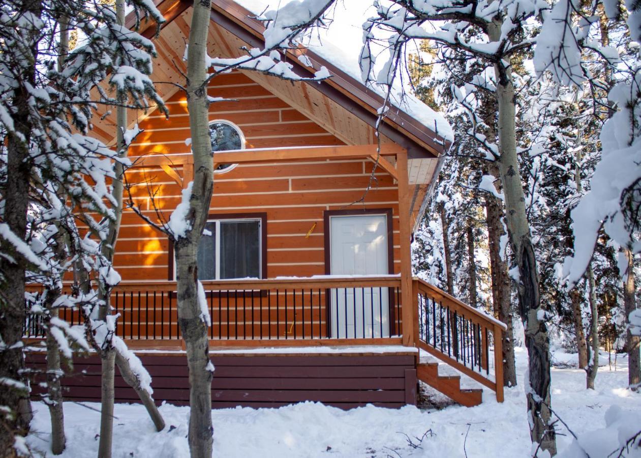 Denali Wild Stay - Redfox Cabin, Free Wifi, Private, Sleep 6 ฮีลี ภายนอก รูปภาพ