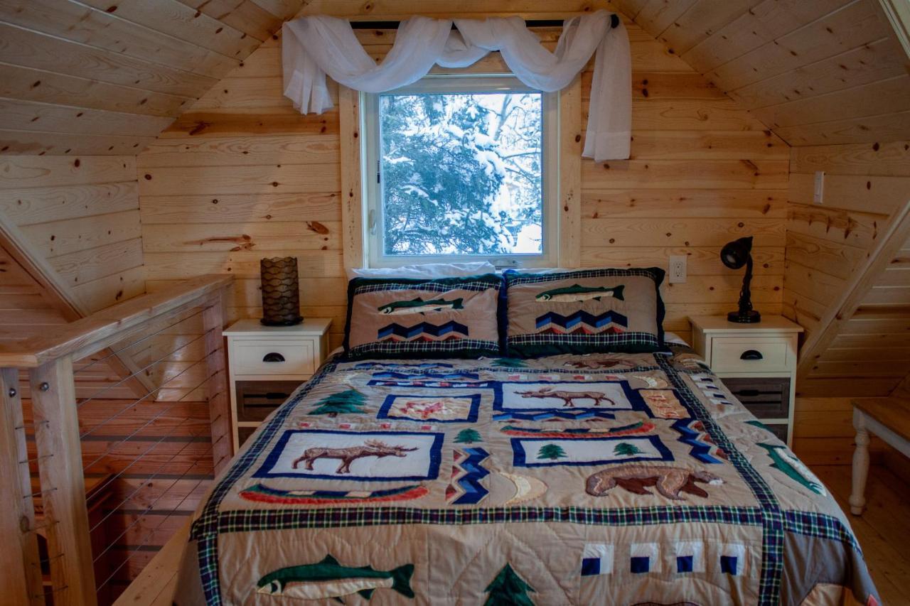 Denali Wild Stay - Redfox Cabin, Free Wifi, Private, Sleep 6 ฮีลี ภายนอก รูปภาพ