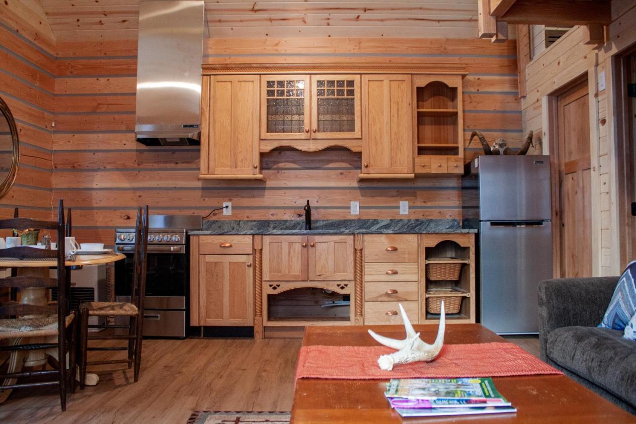 Denali Wild Stay - Redfox Cabin, Free Wifi, Private, Sleep 6 ฮีลี ภายนอก รูปภาพ