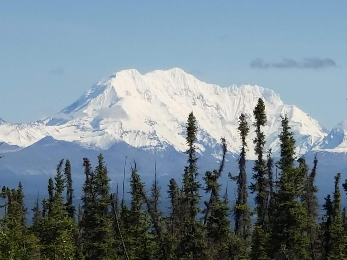 Denali Wild Stay - Redfox Cabin, Free Wifi, Private, Sleep 6 ฮีลี ภายนอก รูปภาพ