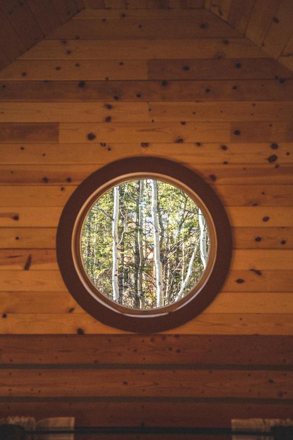Denali Wild Stay - Redfox Cabin, Free Wifi, Private, Sleep 6 ฮีลี ภายนอก รูปภาพ