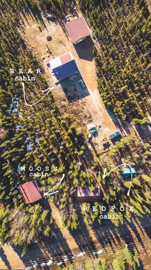Denali Wild Stay - Redfox Cabin, Free Wifi, Private, Sleep 6 ฮีลี ภายนอก รูปภาพ