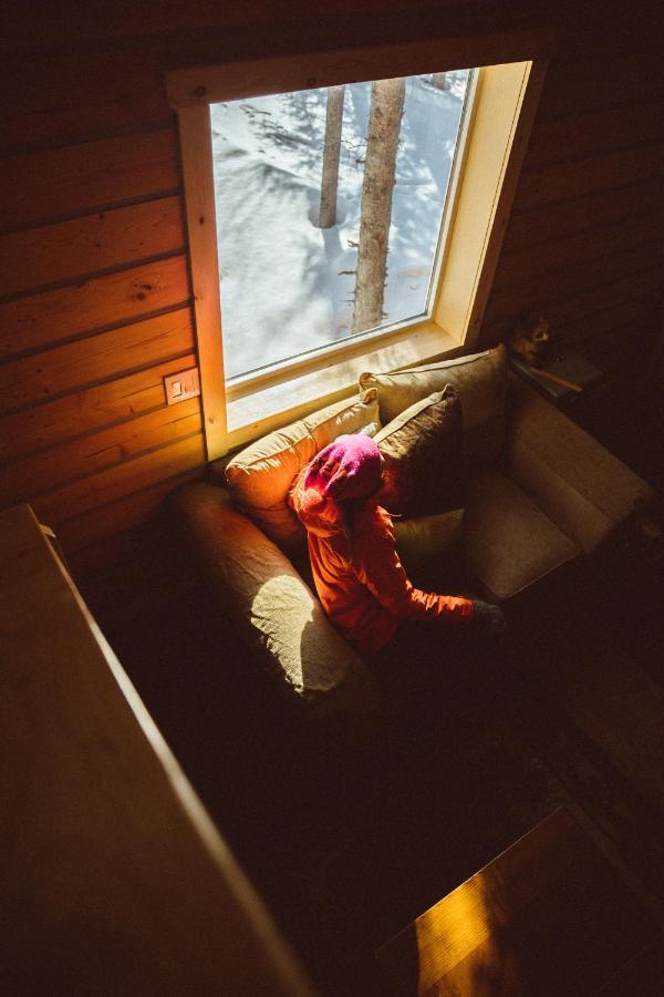 Denali Wild Stay - Redfox Cabin, Free Wifi, Private, Sleep 6 ฮีลี ภายนอก รูปภาพ