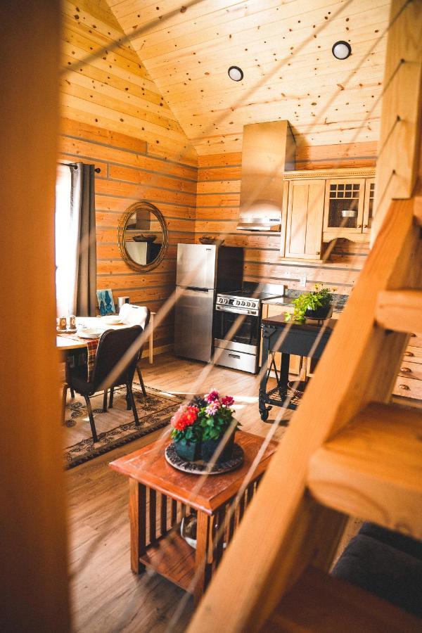 Denali Wild Stay - Redfox Cabin, Free Wifi, Private, Sleep 6 ฮีลี ภายนอก รูปภาพ