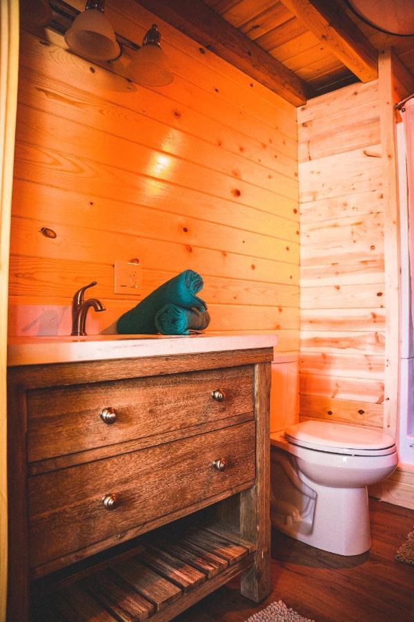 Denali Wild Stay - Redfox Cabin, Free Wifi, Private, Sleep 6 ฮีลี ภายนอก รูปภาพ