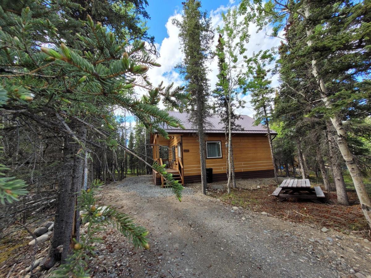 Denali Wild Stay - Redfox Cabin, Free Wifi, Private, Sleep 6 ฮีลี ภายนอก รูปภาพ